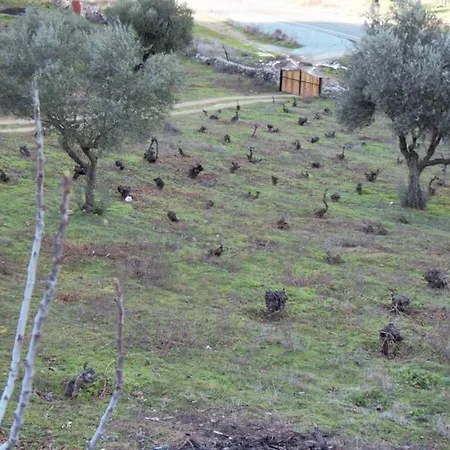 En El Burguillo -vitalia 2 Cr-av-1251 *