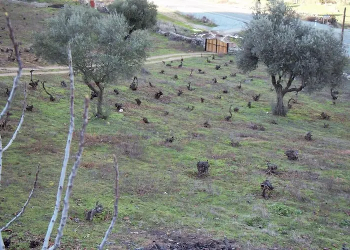 En El Burguillo -vitalia 2 Cr-av-1251 *