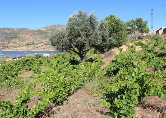 펜션 En El Burguillo -vitalia 2 Cr-av-1251